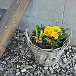 U Johnu Hotel Petrovice (Usti nad Labem)