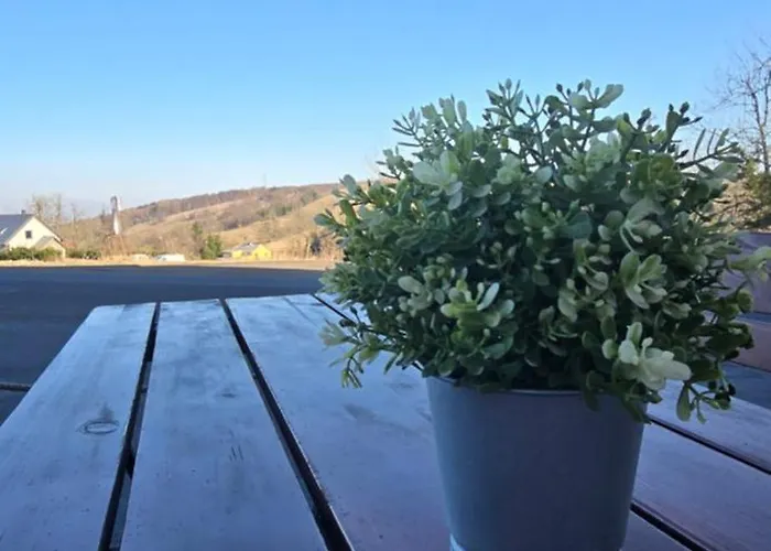 Ξενοδοχείο U Johnu Petrovice (Usti nad Labem)